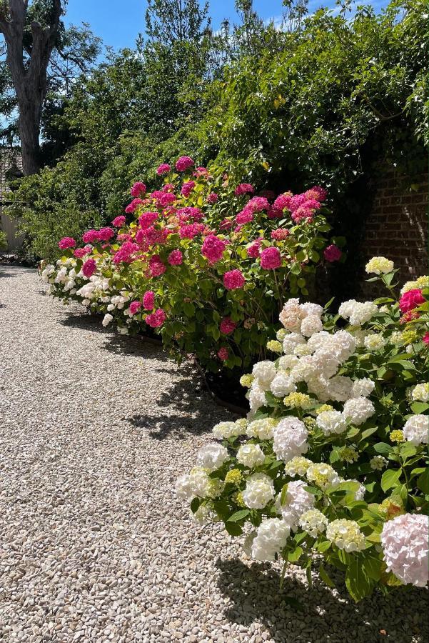 Bed and Breakfast Aux Remparts De Montreuil Montreuil  Екстер'єр фото